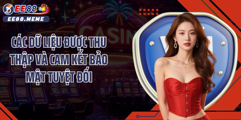 Các dữ liệu được thu thập và cam kết bảo mật tuyệt đối
